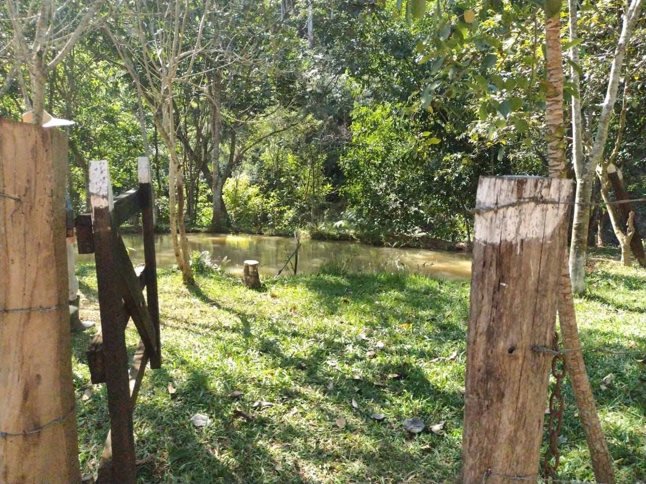 Chácara, 3 quartos, 2 hectares - Foto 10