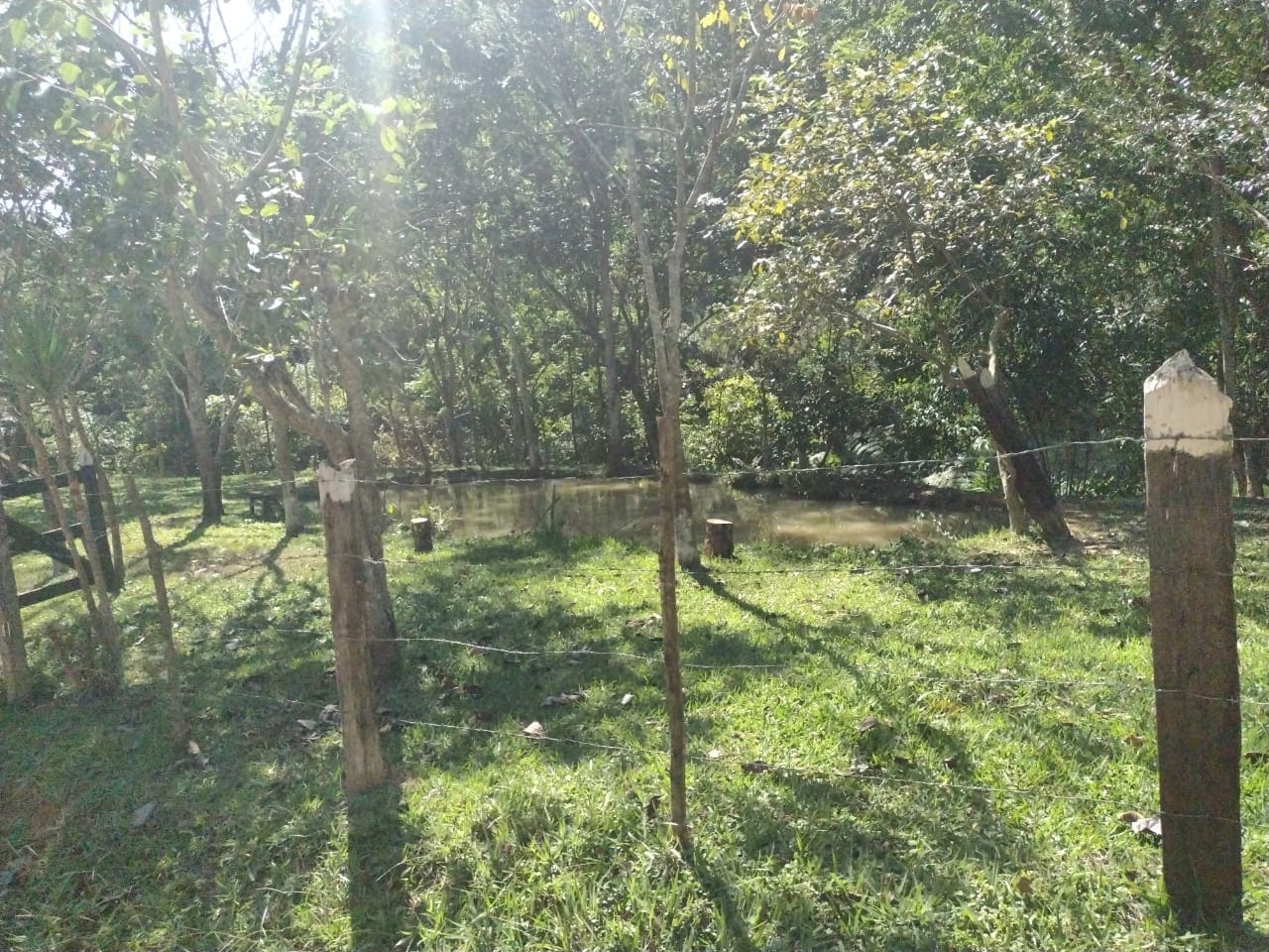 Chácara, 3 quartos, 2 hectares - Foto 11