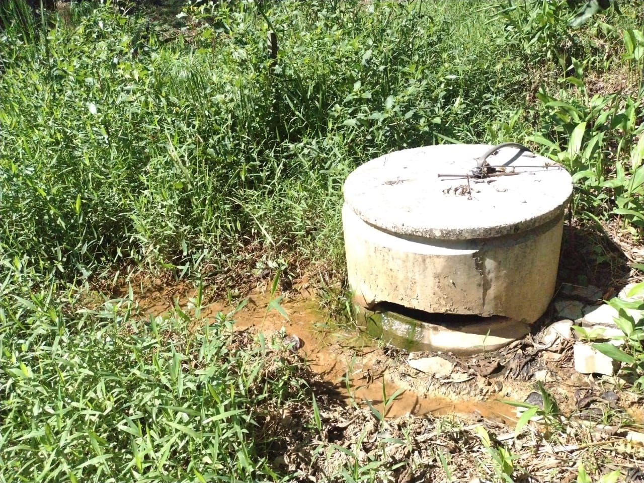 Chácara, 3 quartos, 2 hectares - Foto 12