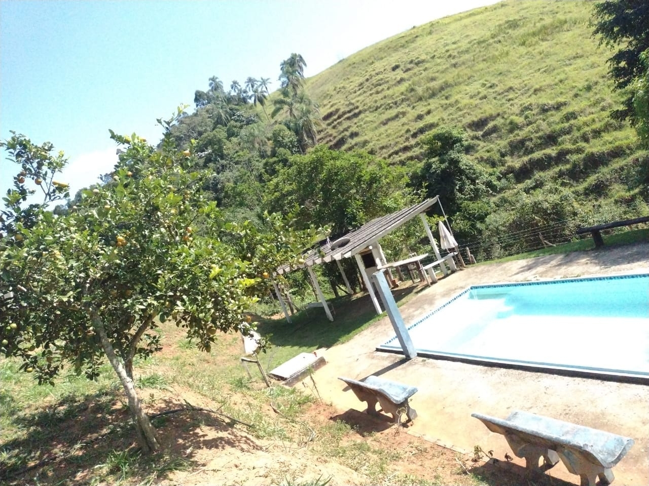 Chácara, 3 quartos, 2 hectares - Foto 13