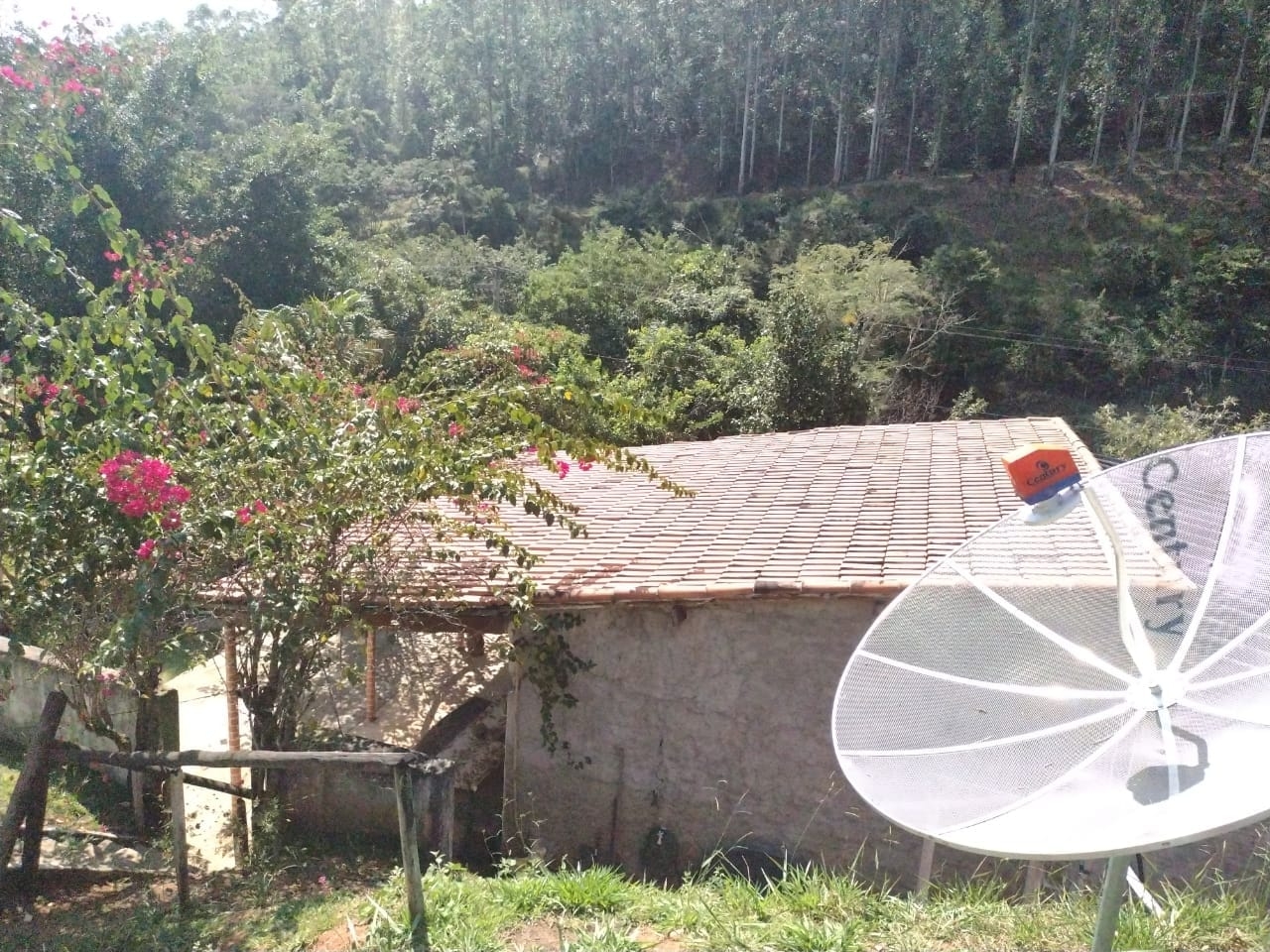 Chácara, 3 quartos, 2 hectares - Foto 14