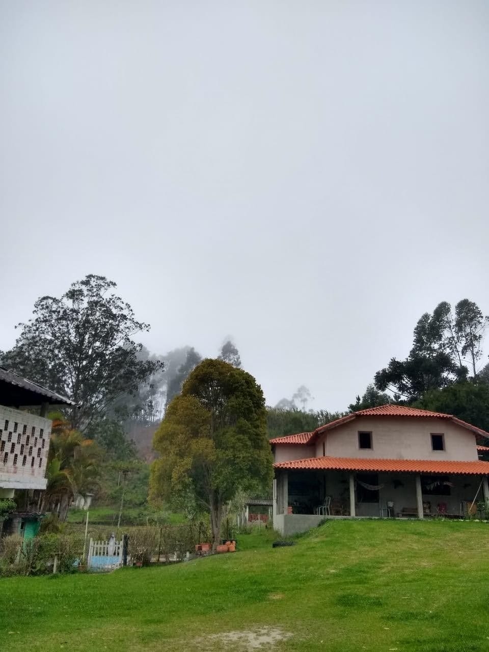 Sítio, 5 quartos, 2 hectares - Foto 3