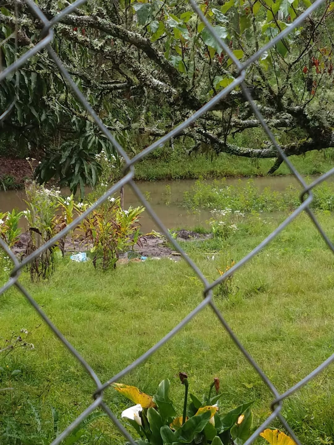 Sítio, 5 quartos, 2 hectares - Foto 6