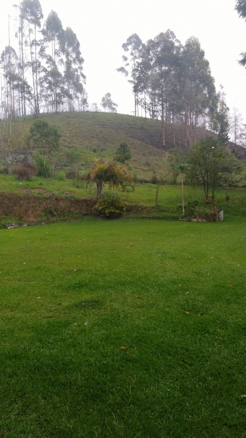 Sítio, 5 quartos, 2 hectares - Foto 8