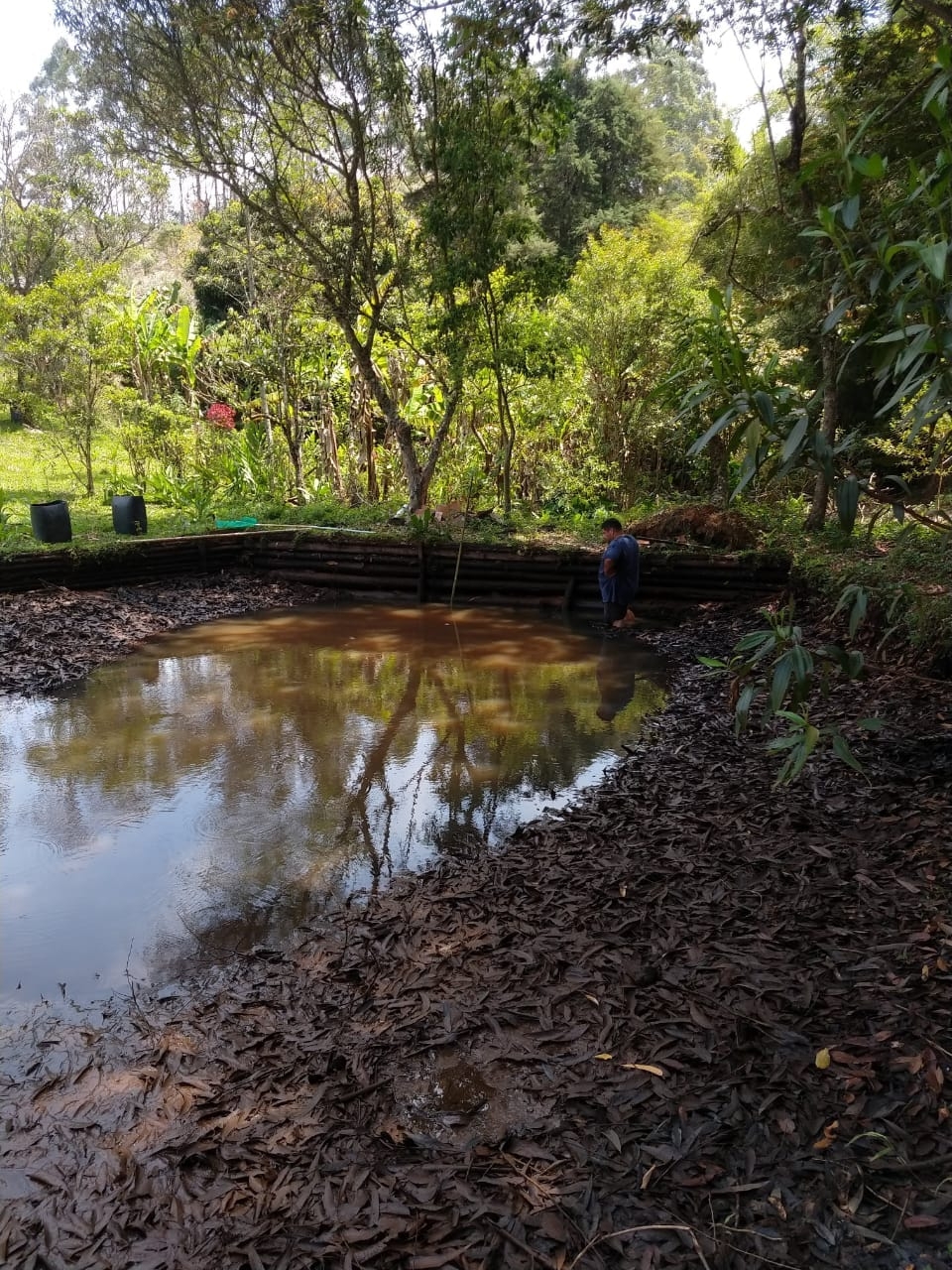 Sítio, 5 quartos, 2 hectares - Foto 15