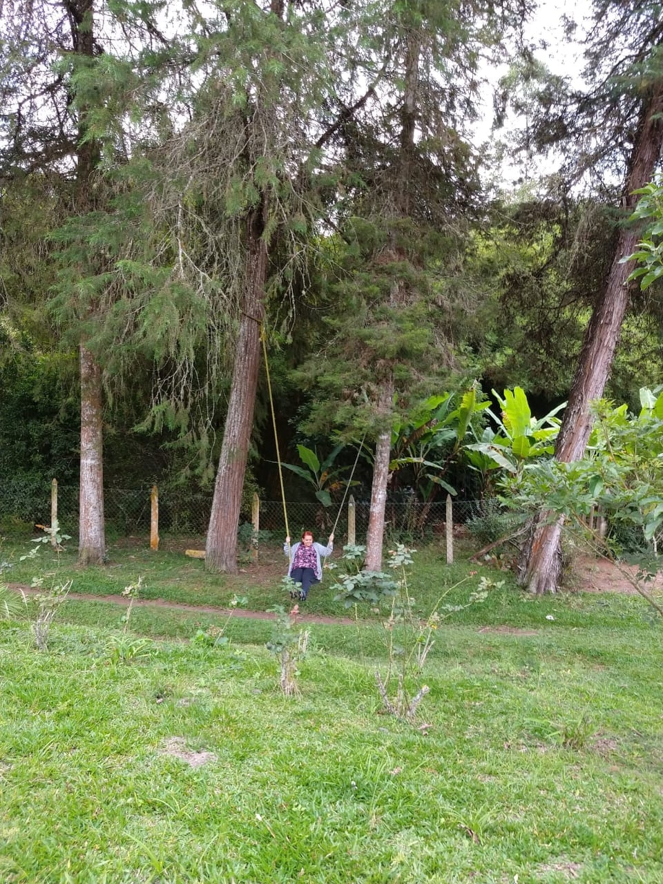 Sítio, 5 quartos, 2 hectares - Foto 20