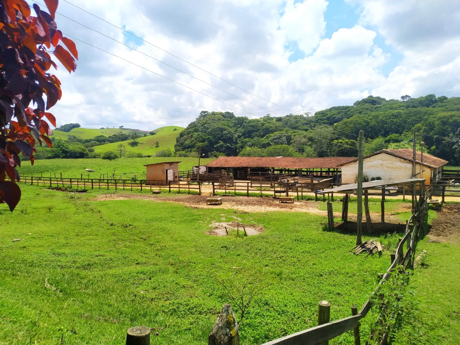 Sítio à venda com 2 quartos, 411400m² - Foto 4