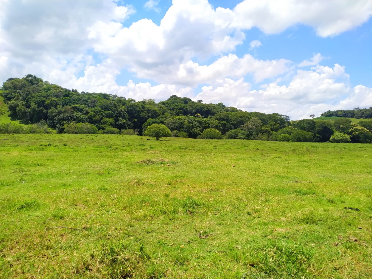 Sítio à venda com 2 quartos, 411400m² - Foto 6