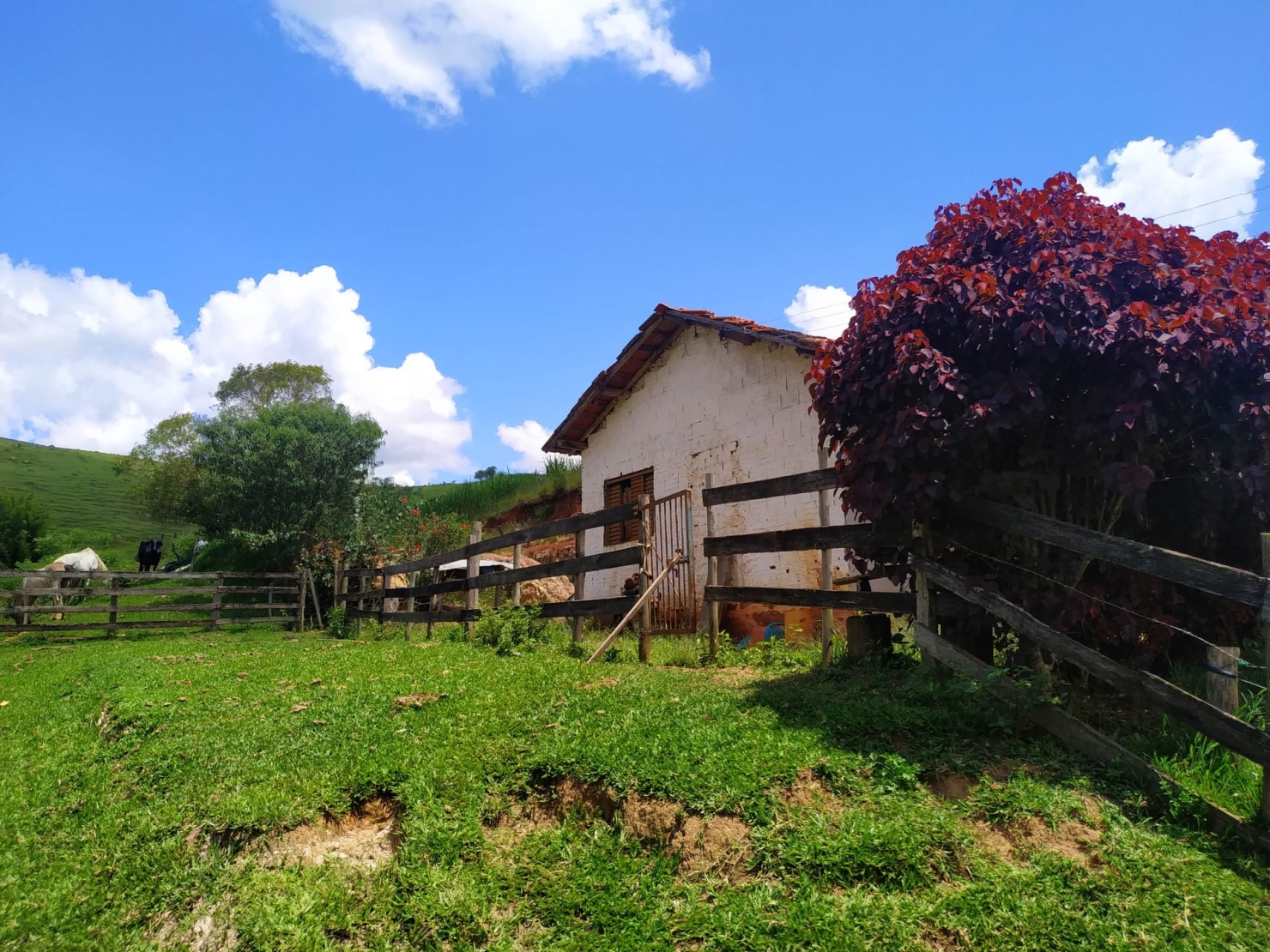Sítio à venda com 2 quartos, 411400m² - Foto 12