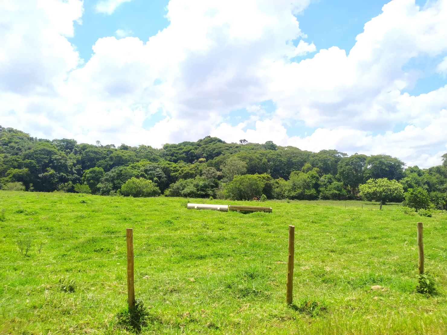 Sítio à venda com 2 quartos, 411400m² - Foto 15