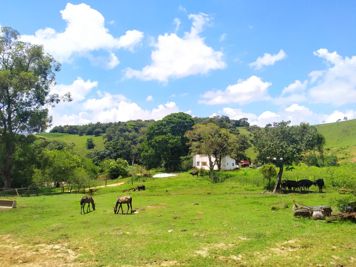Sítio à venda com 2 quartos, 411400m² - Foto 16
