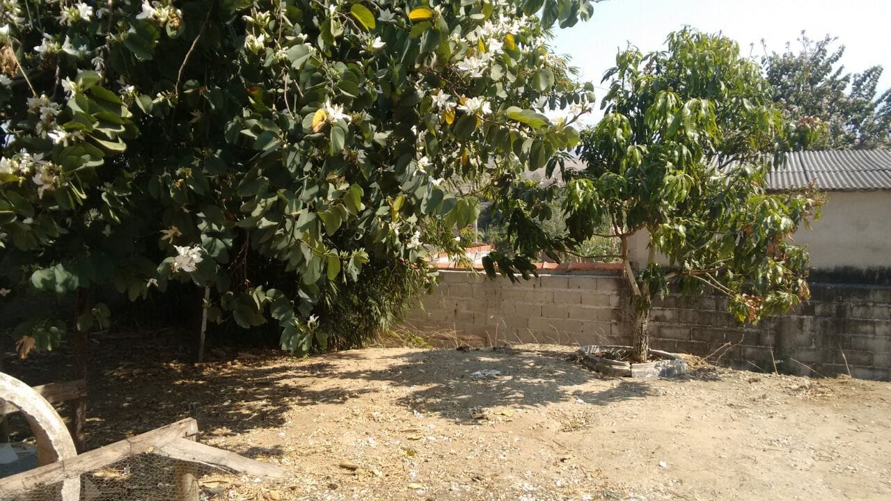 Sítio, 2 quartos, 744 m² - Foto 8