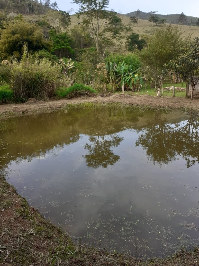 Chácara, 2 quartos, 3860 m² - Foto 3