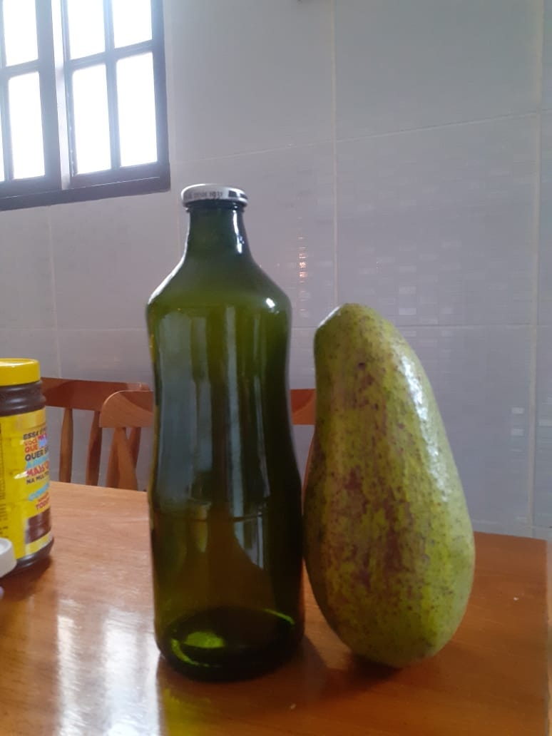 Chácara, 2 quartos, 3860 m² - Foto 7