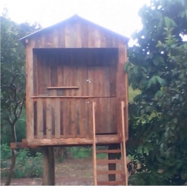 Chácara, 2 quartos, 3860 m² - Foto 15