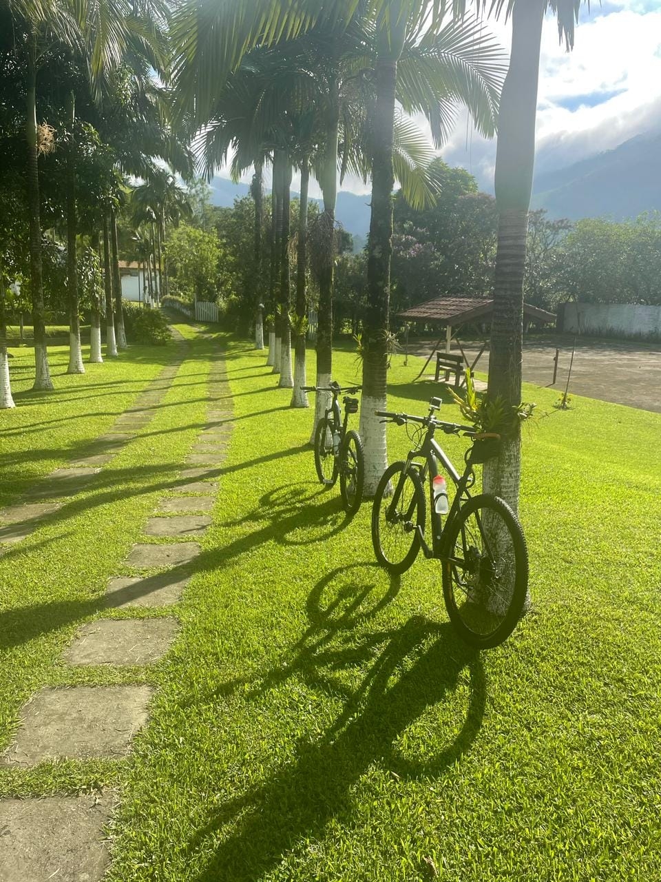 Chácara à venda com 4 quartos, 7700m² - Foto 9