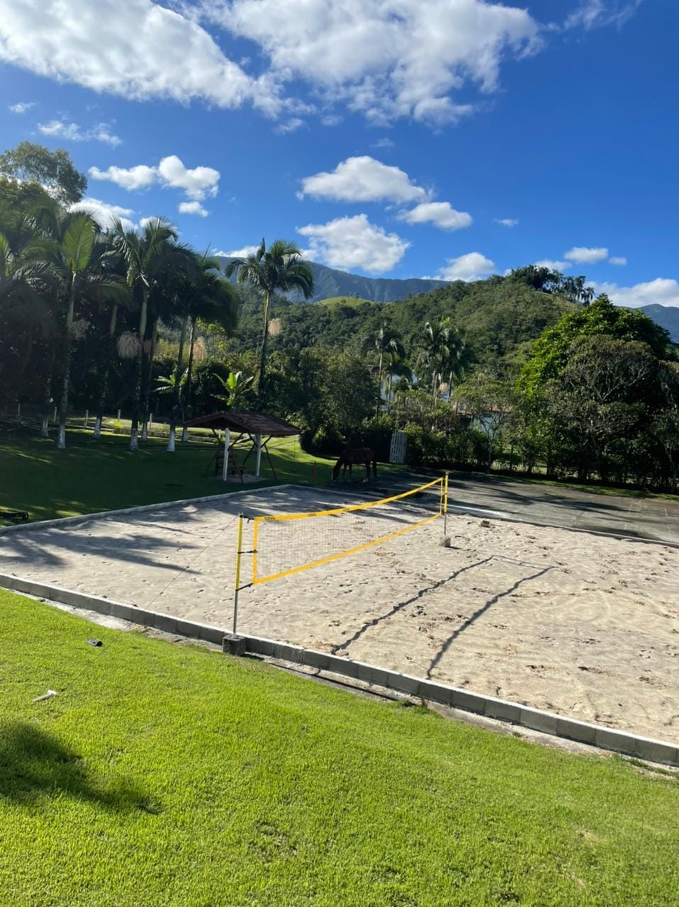 Chácara à venda com 4 quartos, 7700m² - Foto 22
