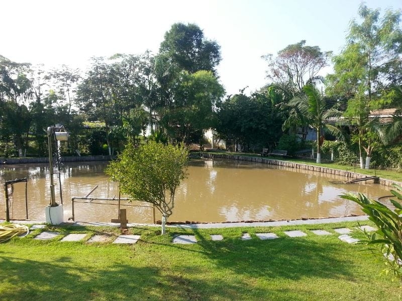 Sítio, 3 quartos, 5700 m² - Foto 2