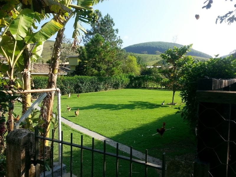 Sítio, 3 quartos, 5700 m² - Foto 5