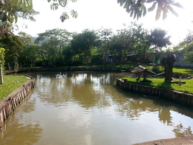 Sítio, 3 quartos, 5700 m² - Foto 6