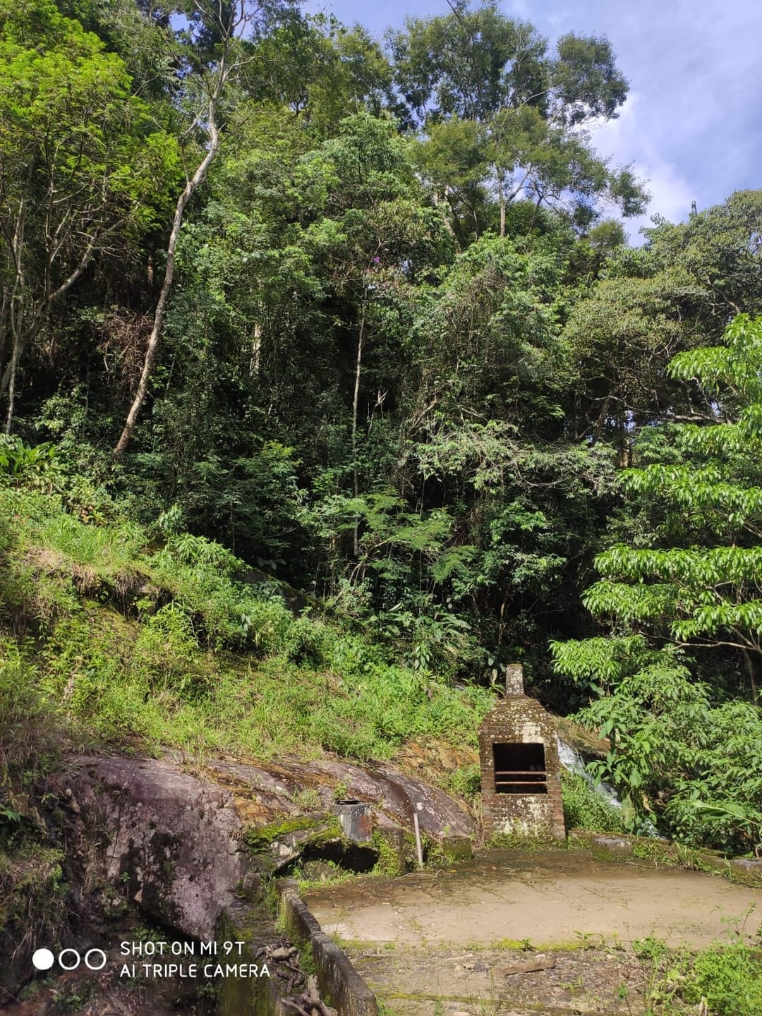 Terreno, 4 hectares - Foto 6