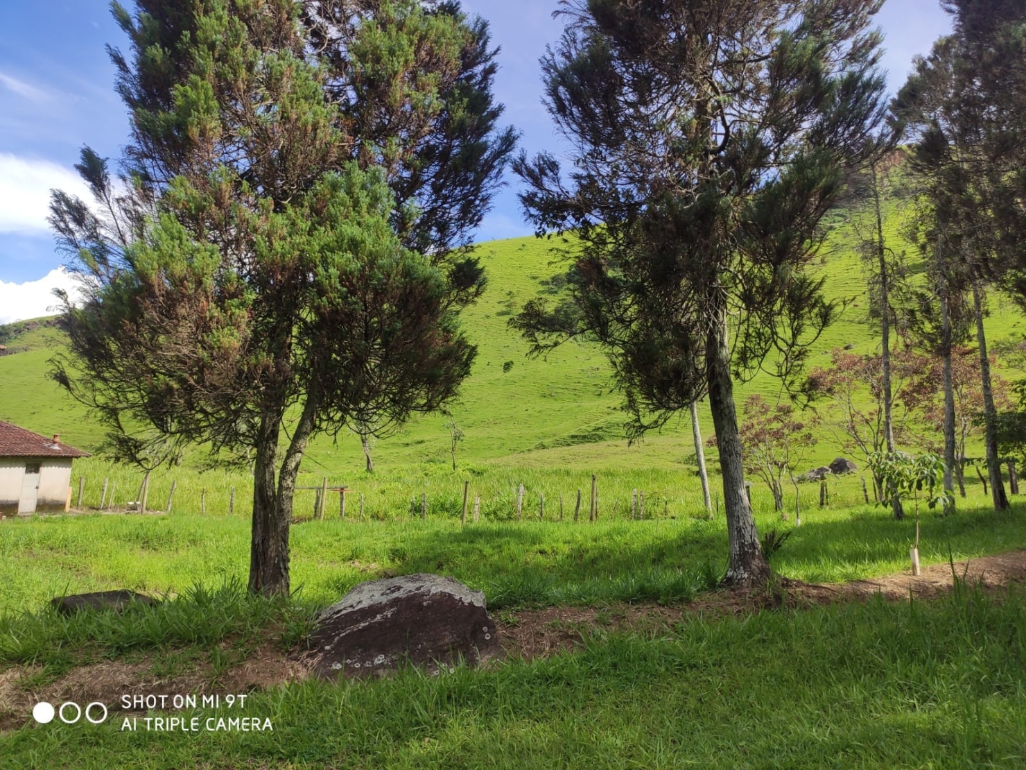 Terreno, 4 hectares - Foto 7