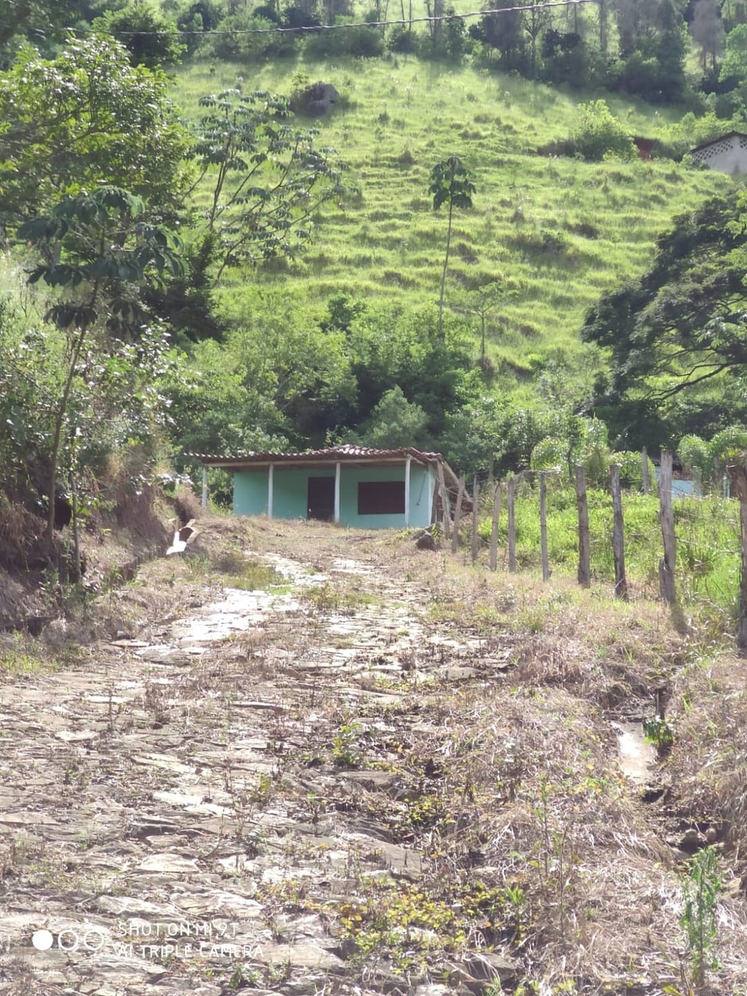 Terreno, 4 hectares - Foto 8