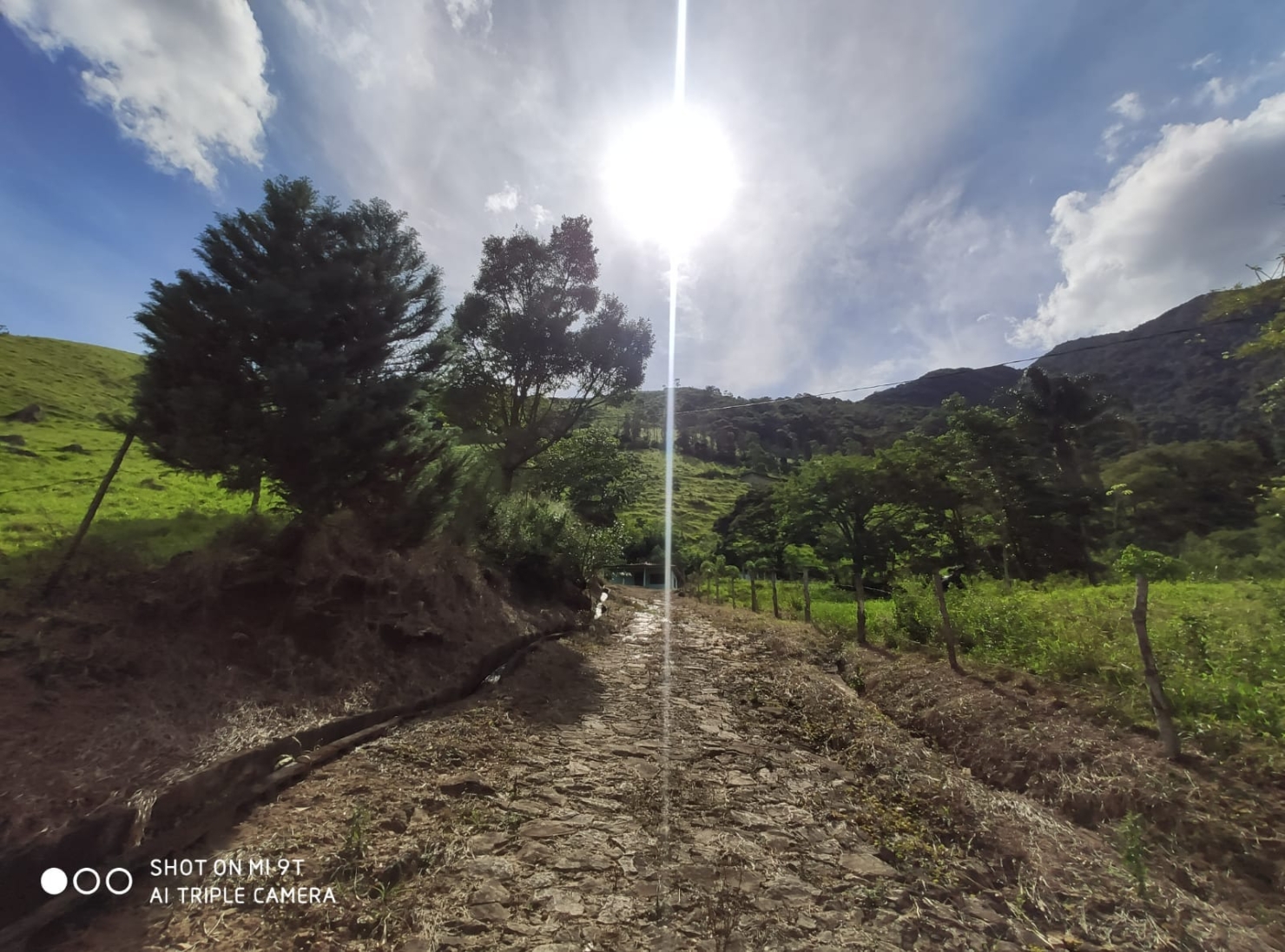 Terreno, 4 hectares - Foto 9