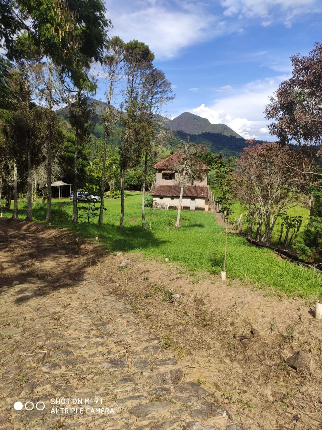 Terreno, 4 hectares - Foto 10