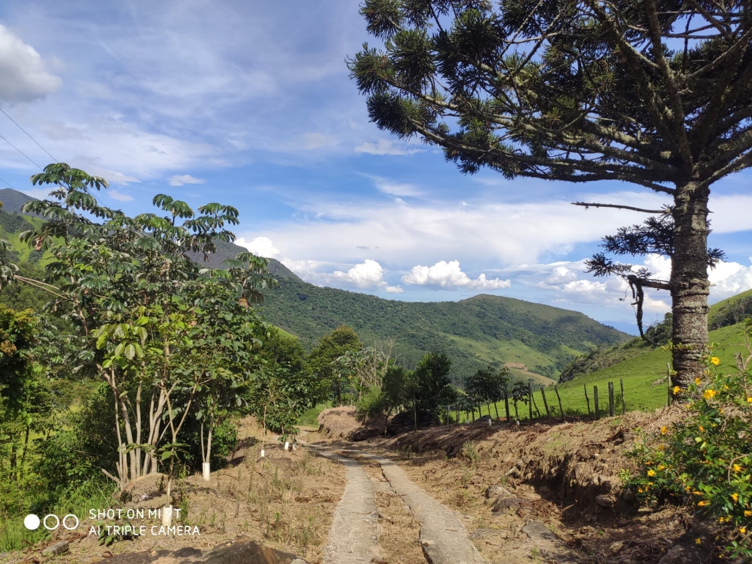 Terreno, 4 hectares - Foto 12