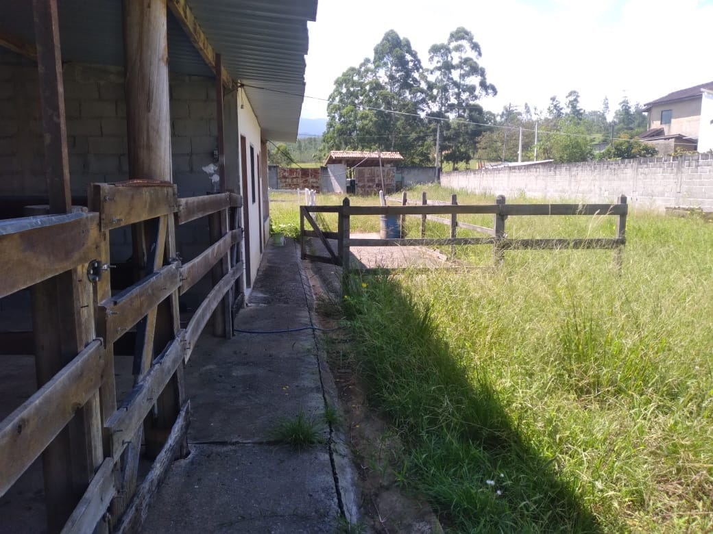 Chácara, 1 quarto, 1000 m² - Foto 4