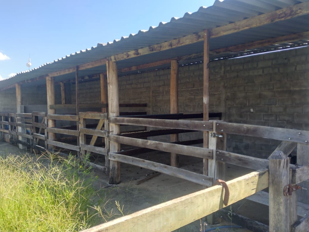 Chácara, 1 quarto, 1000 m² - Foto 7