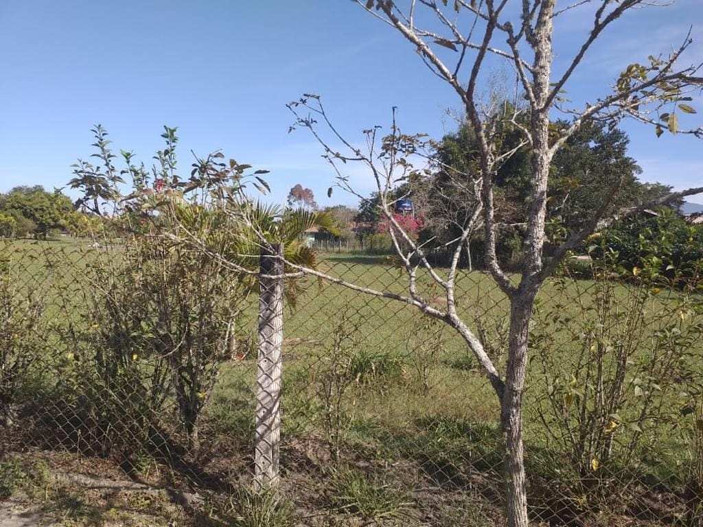 Terreno, 2000 m² - Foto 2