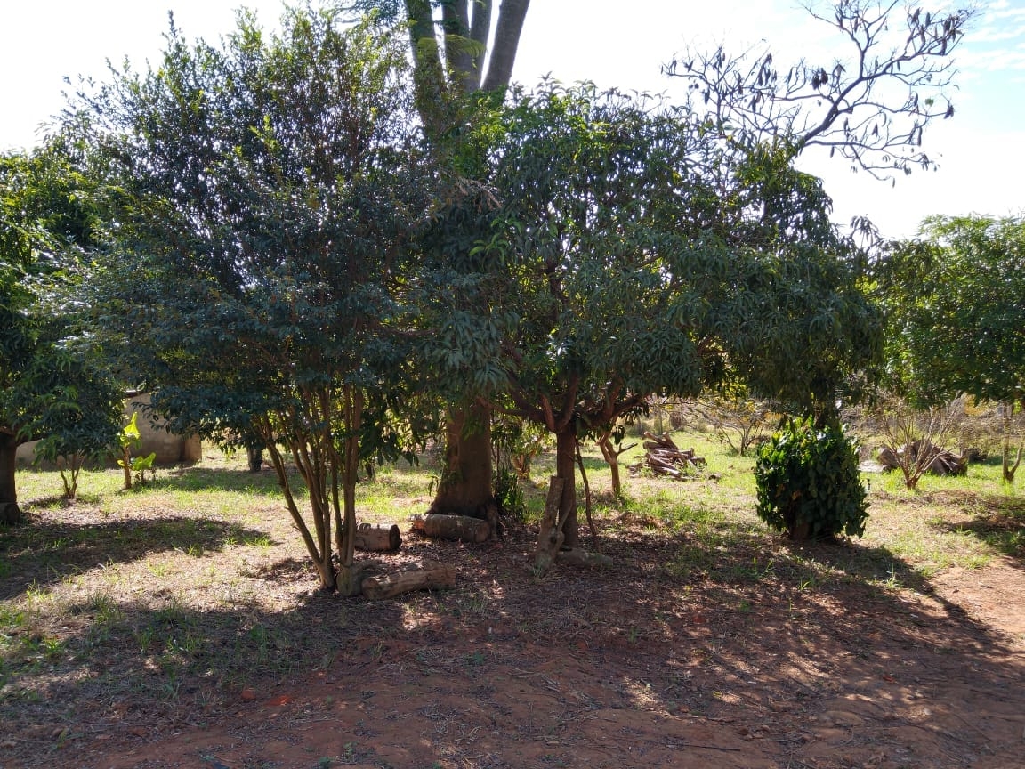 Sítio, 2 quartos, 2000 m² - Foto 1