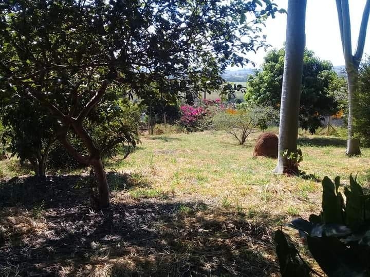 Sítio, 2 quartos, 2000 m² - Foto 14