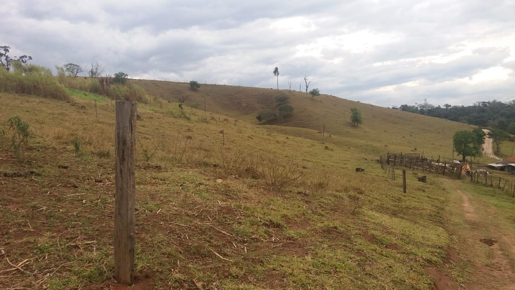 Sítio, 3 quartos, 25 hectares - Foto 7