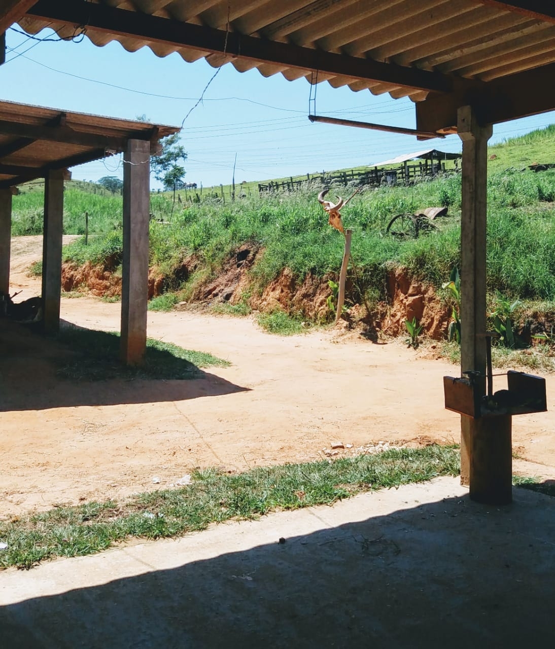 Sítio, 3 quartos, 25 hectares - Foto 8