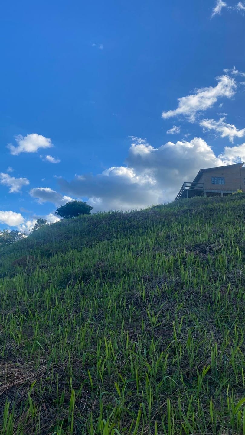 Terreno, 1002 m² - Foto 3