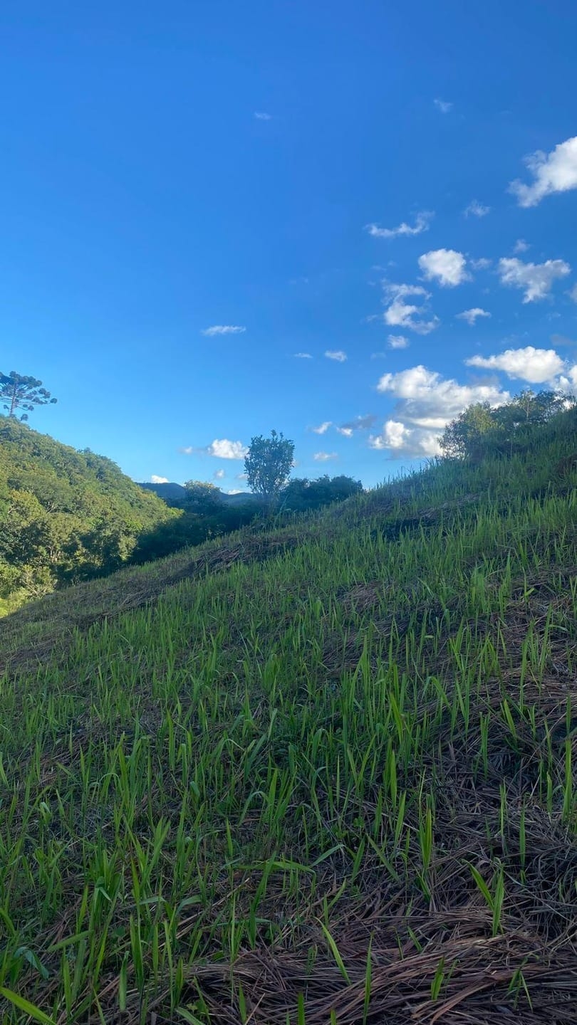 Terreno, 1002 m² - Foto 4