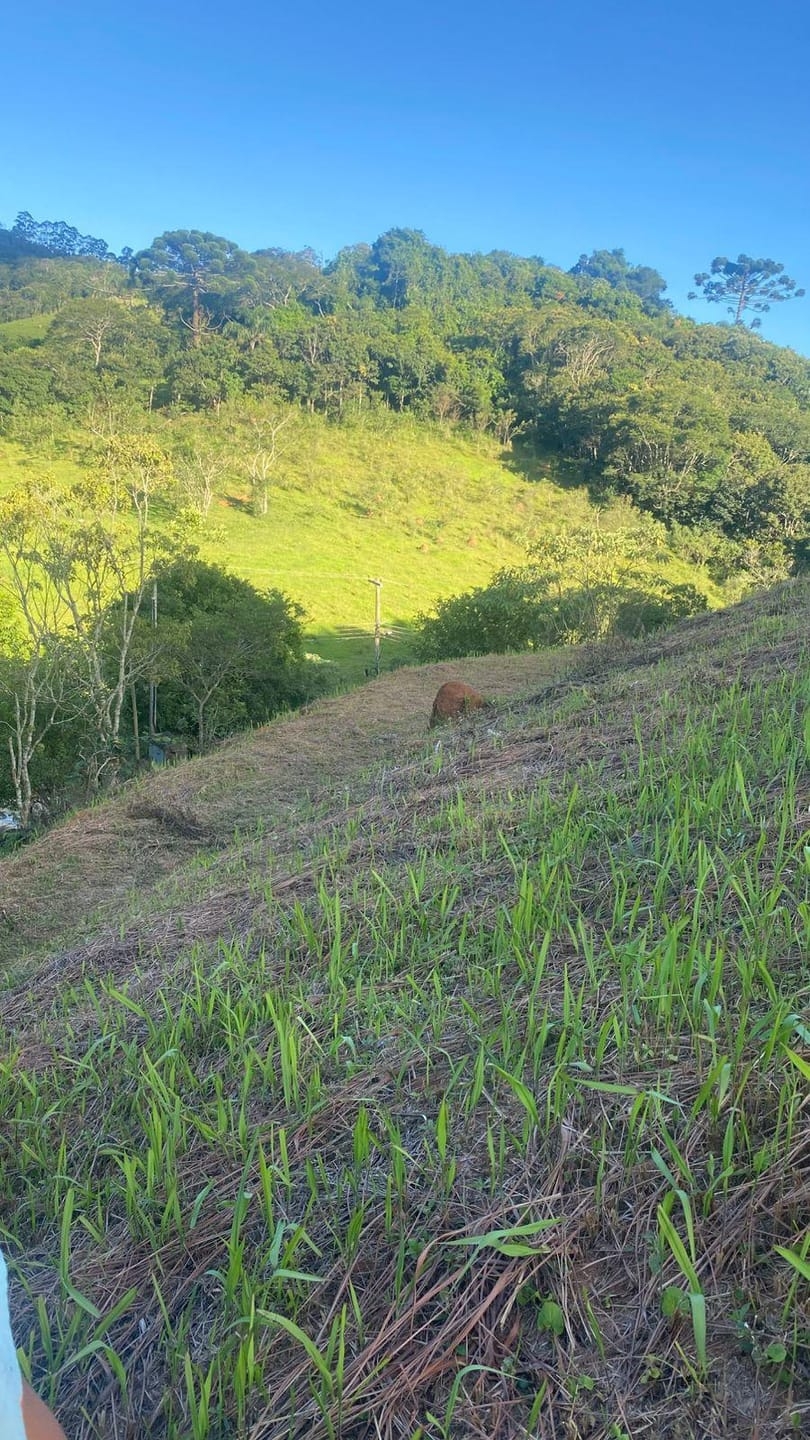 Terreno, 1002 m² - Foto 6