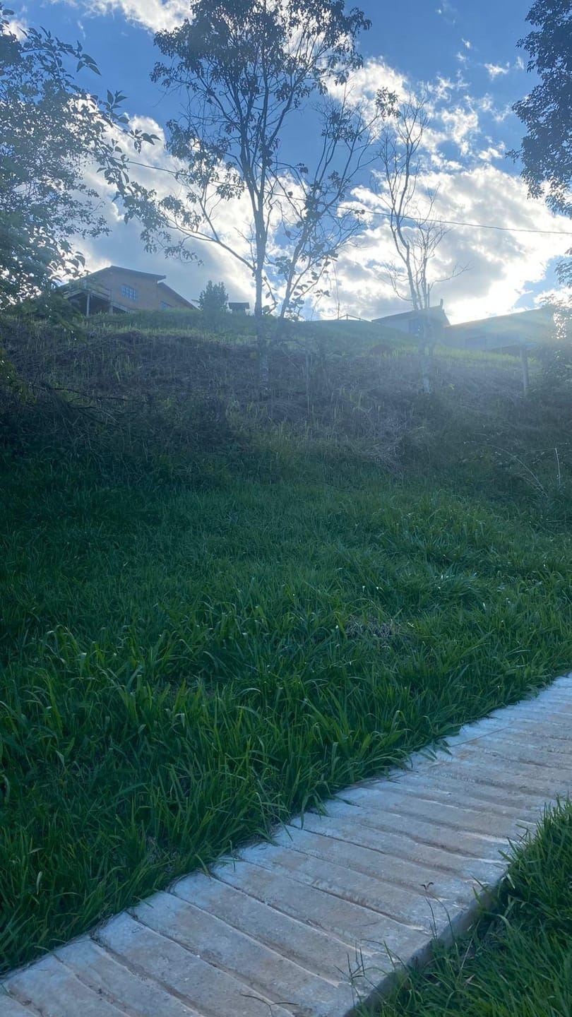 Terreno, 1002 m² - Foto 8