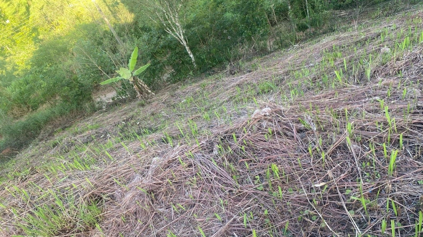 Terreno, 1002 m² - Foto 10