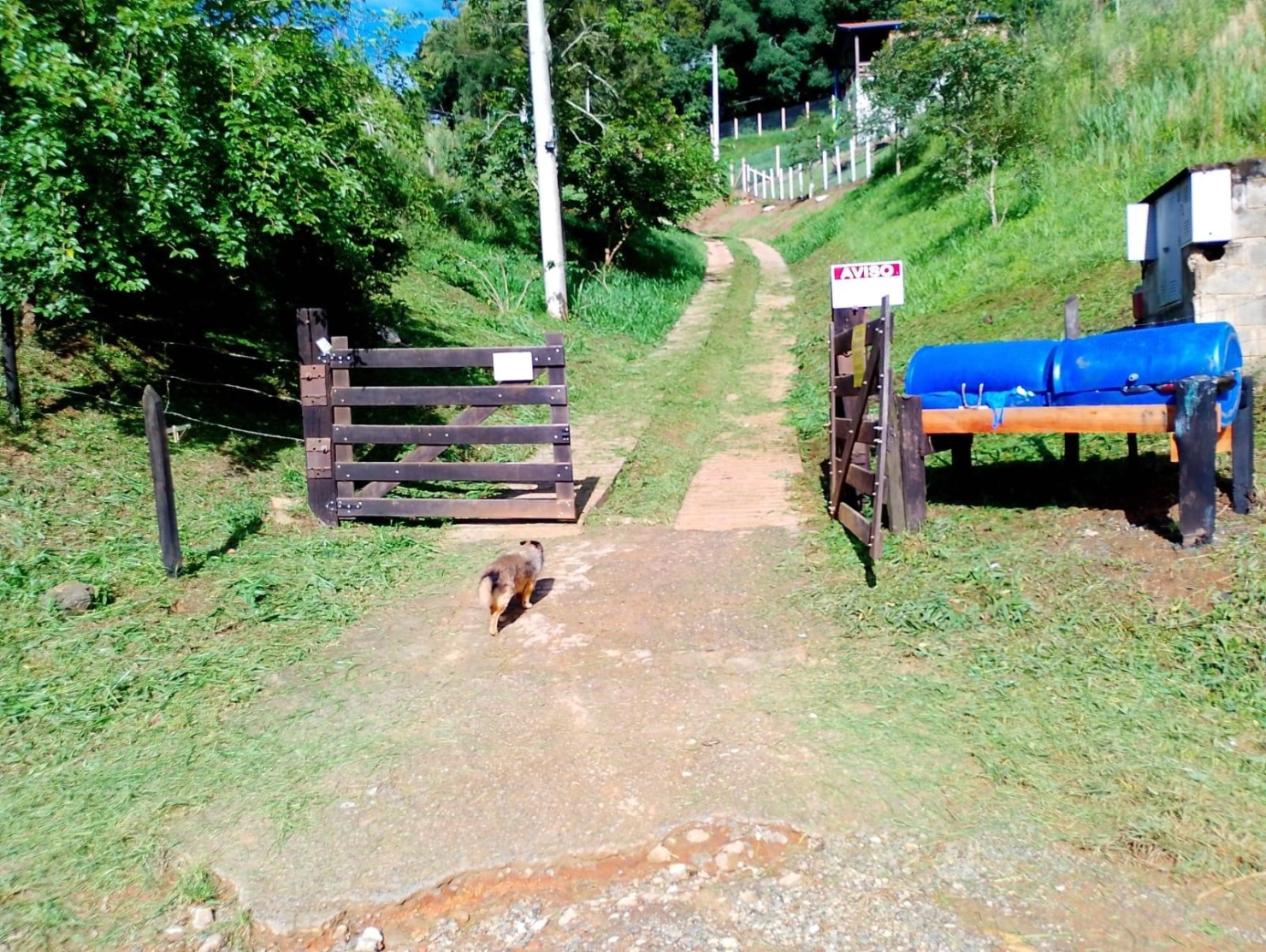 Terreno, 1002 m² - Foto 11