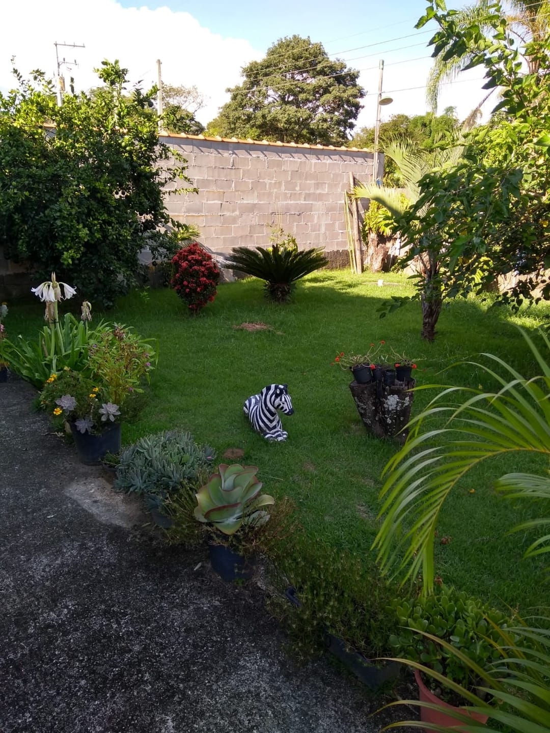 Chácara, 2 quartos, 1350 m² - Foto 10