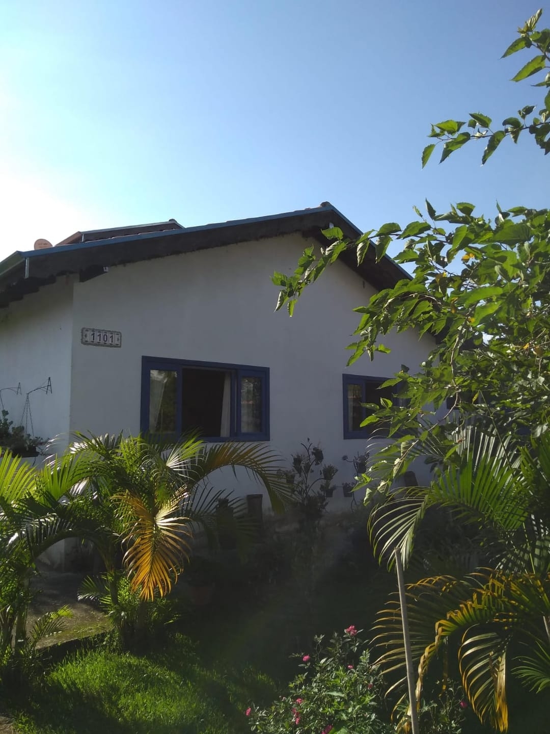 Chácara, 2 quartos, 1350 m² - Foto 12