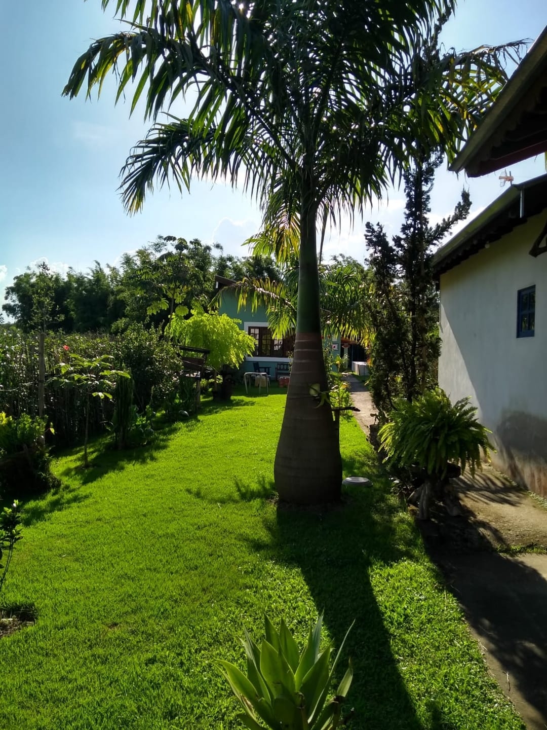 Chácara, 2 quartos, 1350 m² - Foto 15