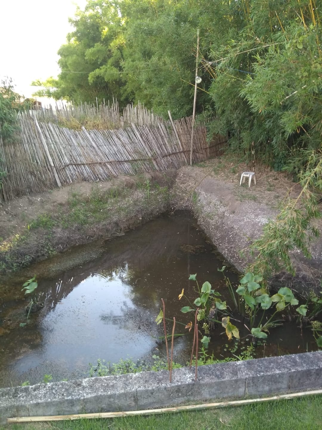 Chácara, 2 quartos, 1350 m² - Foto 22