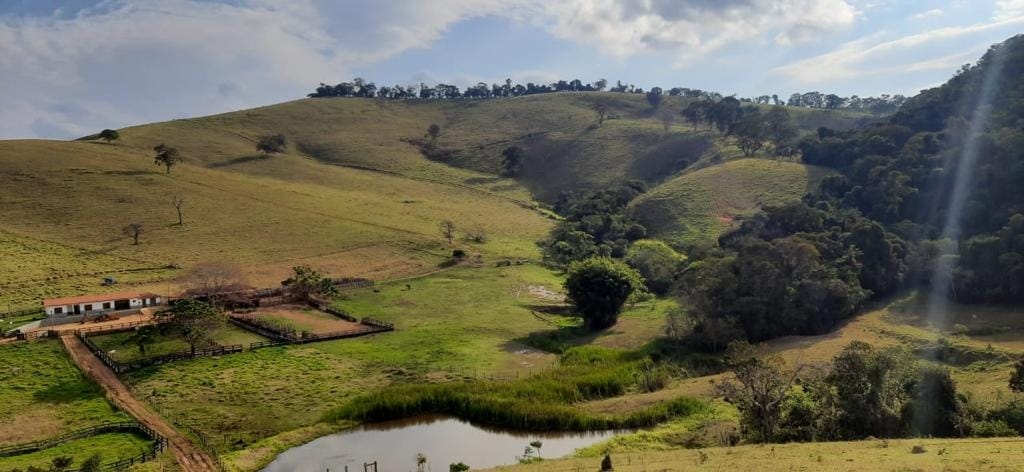 Terreno, 130 hectares - Foto 1