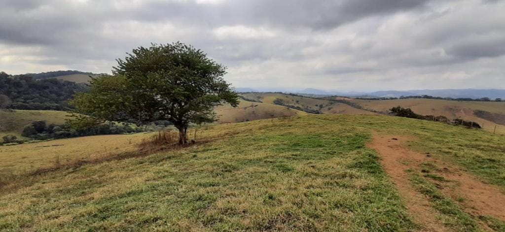 Terreno, 130 hectares - Foto 5