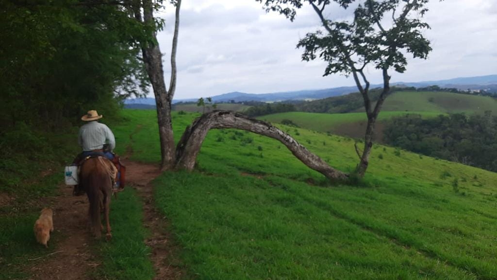 Terreno, 130 hectares - Foto 6